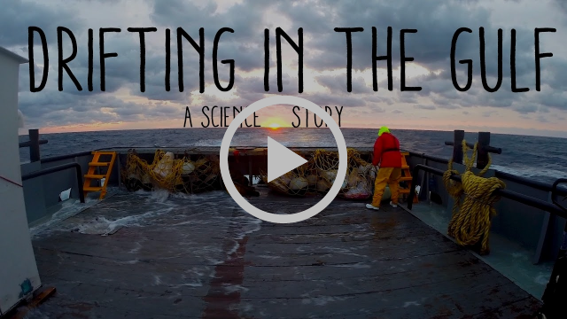 Drifting in the Gulf - A Science Story